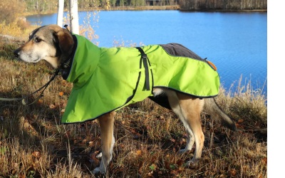 Axaeco 4 Season Dog Coat