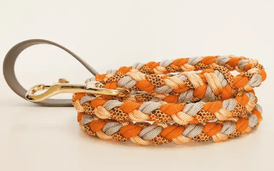 Biothane Paracord geflochtene Hundeleine, orange