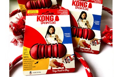 Dental KONG mit Seil