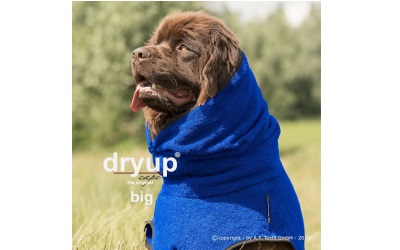 DRYUP cape BIG blueberry