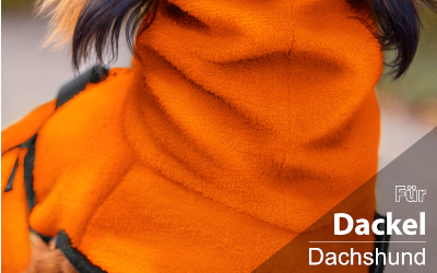 DRYUP cape DACKEL Hundebadmantel, clementine