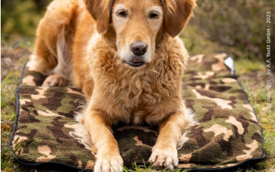 DRYUP Warmup Blanket Hundedecke, camouflage