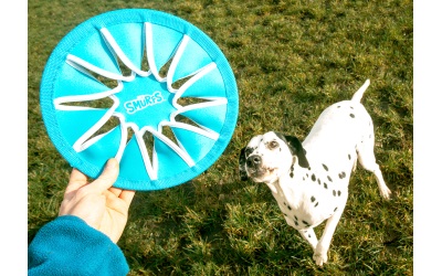 duvoplus Hefti Schlumpf Frisbee blau