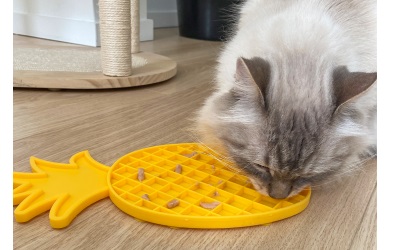 duvoplus Leckmatte Ananas gelb