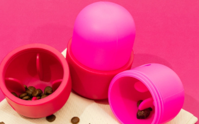 Fun Feeder Leckerli-Spender Hundespielzeug