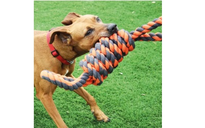 Happy Pet Nuts For Knots Extreme Coil Figure of 8 Tugger