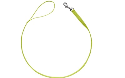 Hunter Führleine London limette