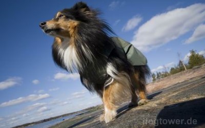 Regenjacke für langhaarige Hunde