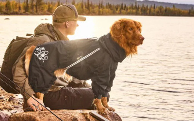 Regenschutz, jetzt auch in schwarz, der Mudventure Hundeoverall ECO