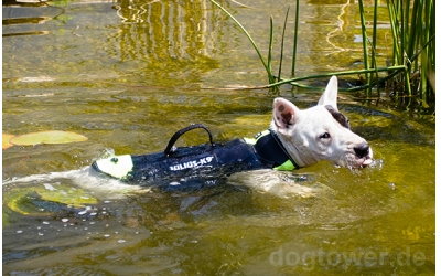 Hundeweste auch für bullige Hunderassen geeignet