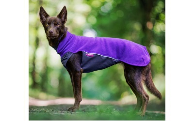 JumppaPomppa Hundepullover violet