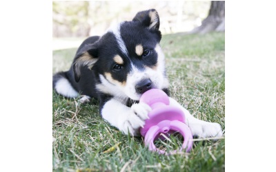 KONG Puppy Binkie