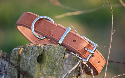 Lederhalsband, hellbraun