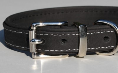 Leder Hundehalsband, braun
