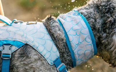 Ruffwear Swamp Cooler Neck, kühlendes Halstuch, biolumin blue