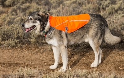Ruffwear Track Jacket