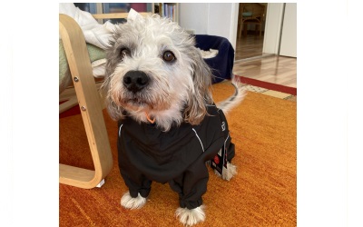 rukka Thermal Overall Hundemantel, black
