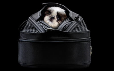 SleepyPod