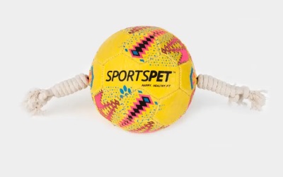 SPORTSPET Football Fußball gelb