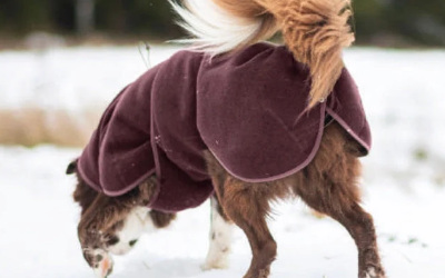 Woolie Pomppa der Wollmantel Hundemantel, maroon
