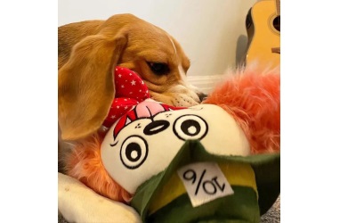 WufWuf Mutt Hatter Plüsch-Hundespielzeug