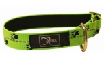 Axaeco Sleddog Collar Reflex Green