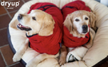 DRYUP cape Hundebademantel, rot (redpepper)