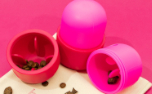 Fun Feeder Leckerli-Spender Hundespielzeug