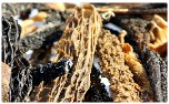 Lunderland Premium Rinderpansen natur