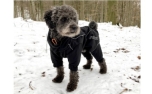 rukka Thermal Overall Hundemantel, black