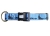 Axaeco Sleddog Collar Click Blue