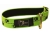 Axaeco Sleddog Collar Reflex Green