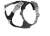 Hurtta Hundegeschirr, Rover Harness, raven