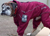 rukka Thermal Overall Hundemantel, wine