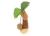 P.L.A.Y. Tropical Paradise Collection - Puppy Palm