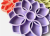 SodaPup Mandala Design eTray Futterspielzeug Hundenapf lavendel