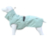 Stock und Stein Hundemantel Wintermaster, frosty green