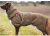 Woolie Pomppa der Wollmantel Hundemantel, oliv